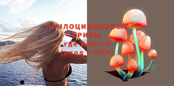 спайс Вяземский