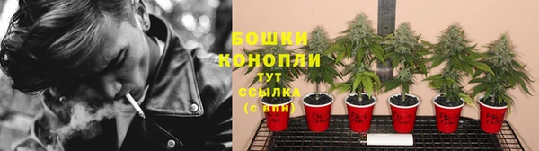 спайс Вяземский