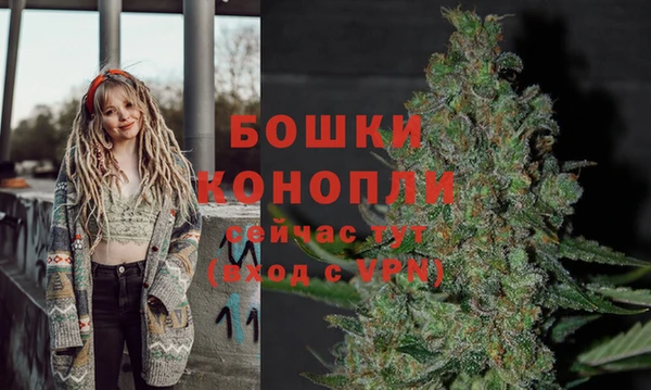 спайс Вяземский