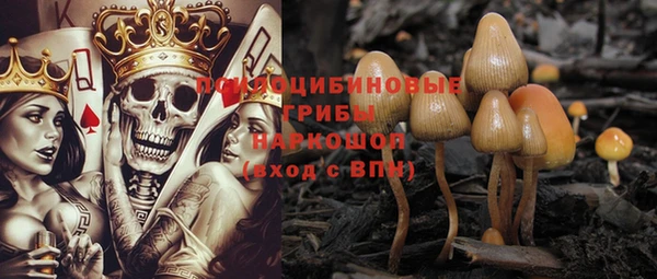 спайс Вяземский