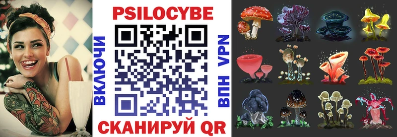 Псилоцибиновые грибы Psilocybine cubensis  Саяногорск 